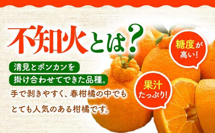 【先行予約】【訳あり】不知火 約10kg 長岡農園《2月中旬-4月上旬頃出荷》 和歌山県 日高川町 訳あり デコポン と同品種  柑橘 みかんしらぬいst-p