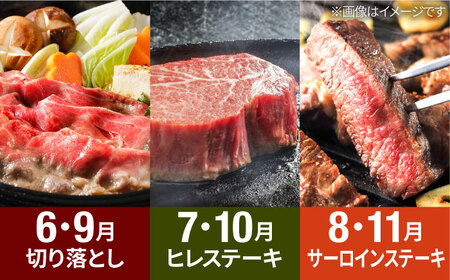 【R8年1月以降発送】【全11回定期便】赤白いちご5種と佐賀牛のセット / いちご 牛肉 [IZZ030]