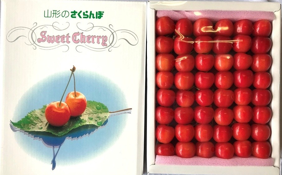 
                  さくらんぼ（佐藤錦）５００ｇ　特秀品　手詰め　0069-2604
                