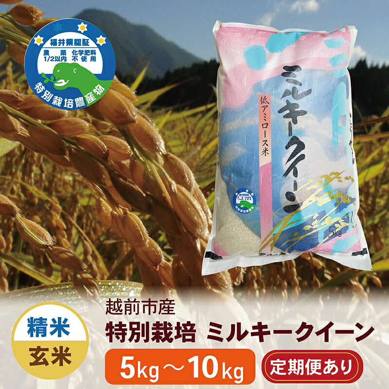 【ふるさと納税】【先行予約】令和7年度 新米 特別栽培 越前市産ミルキークイーン（5kg・10kg／精米・玄米／定期便3回・6回）/ 送料無料 福井県 越前市 米 ミルキークイーン 減農薬 新生活(18209)