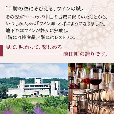 ふるさと納税 池田町 十勝ワイン 山幸2本セット |  | 03