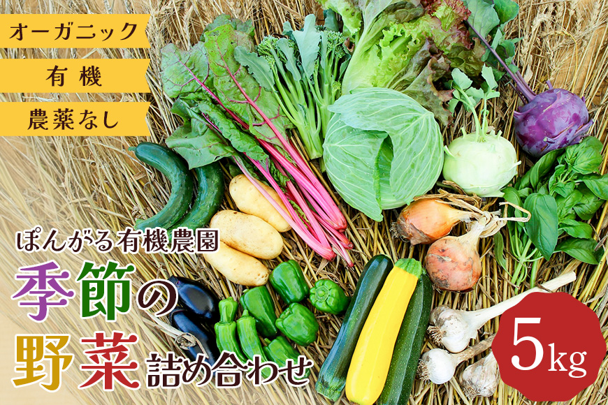 オーガニック 有機 農薬なし ぽんがる有機農園 季節の野菜 詰め合わせ 5kg