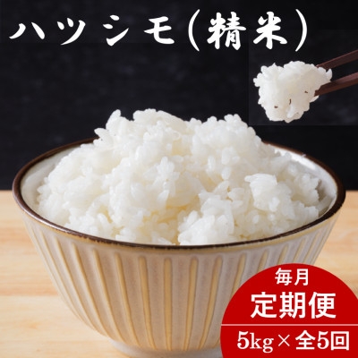 
                  ＜毎月定期便＞岐阜県産ハツシモ(精米) 5kg全5回【4076406】
                