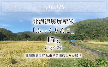令和6年産奥尻産米「ふっくりんこ」15kg入り 【 ふるさと納税 人気 おすすめ ランキング ふっくりんこ お米 精米 白米 米 ごはん ご飯 白ご飯 北海道 奥尻町 送料無料 】 OKUI003 |