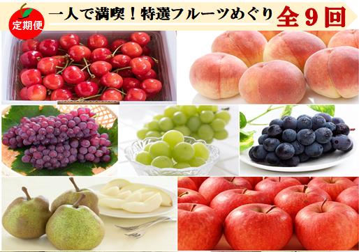 
            08-08-025　一人で満喫!特選フルーツめぐり(定期便)全9回
          