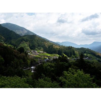 ふるさと納税 仁淀川町 摘み草ブレンドティー2種セット |  | 03