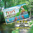 【ふるさと納税】カッパ 捕獲 許可証 かっぱ 河童 おじさん 遠野物語 民話 カッパ淵 旅行 岩手県 遠野市 観光 体験 ご当地 お土産 おみやげ プレゼント 人気 おすすめ 注目 おもしろい 資格 免許 令和6年 デザイン 遠野市観光協会 ネタ 2,000円 2000円 送料無料 ポスト投函