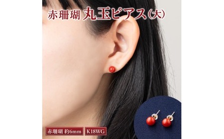 赤珊瑚 ピアス 珊瑚