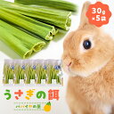 【ふるさと納税】 うさぎの餌（30g×5袋） 千葉県 南房総市 エサ ペット ペットの餌 栄養価 健康 ごはん ペットフード おやつ 小動物 フード ペットご飯 ビタミン ポリフェノール 動物 パパイヤ セット 送料無料