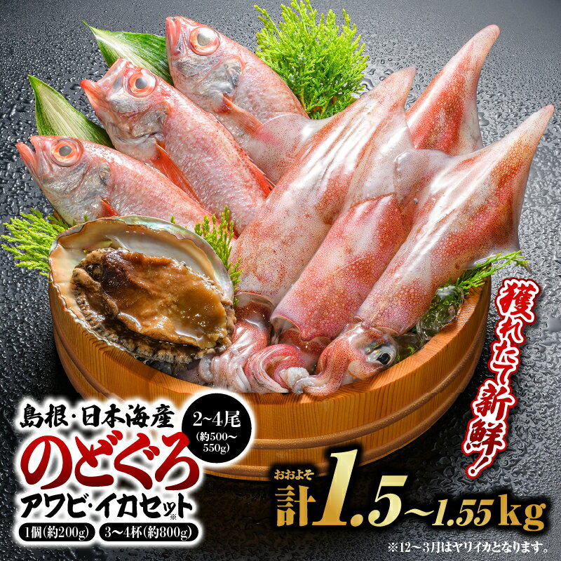 【ふるさと納税】鮮魚セットA 【のどぐろ2～4尾(約500g～550g)・イカ3～4杯(約800g)・アワビ(約200g×1)】漁解禁 受付再開 のどぐろ アワビ イカ 島根 山陰 日本海産 魚介類 魚貝類 貝 海産物 魚 あわび ノドグロ 鮮魚 剣先イカ ヤリイカ 煮付け 焼き魚【YM-1】