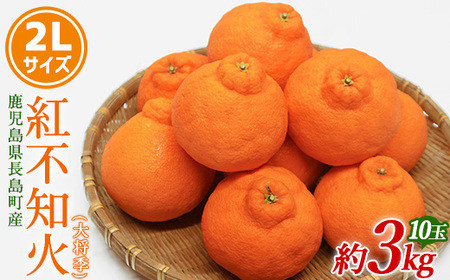 紅不知火（大将季） 2Lサイズ 10玉入り 約3kg【山上農園】yamagami-779