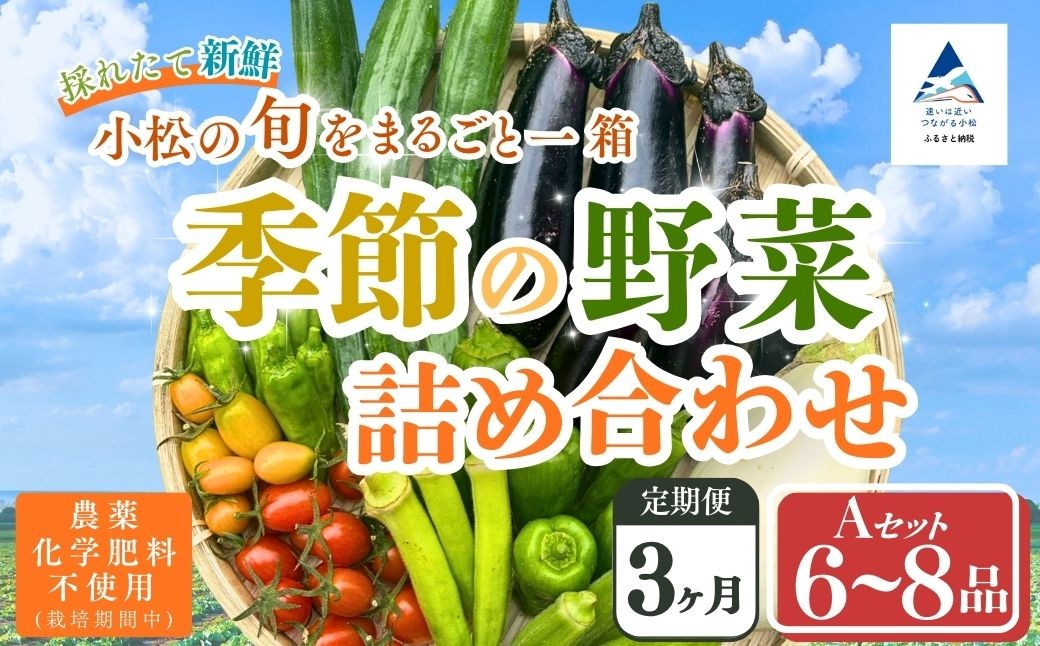 
                  【定期便3ヶ月】季節の野菜詰め合わせ Aセット 野菜食べ比べ 旬の野菜 野菜セット定期便 | 石川県 小松市【Kacchan.Farm】 cw001t03
                