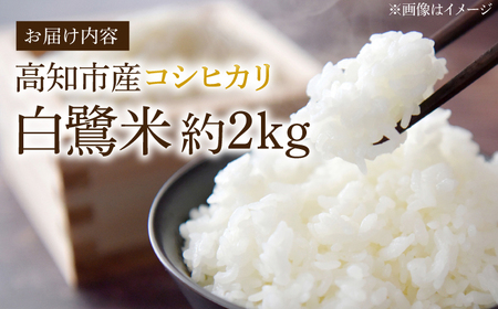 【先行予約】 農薬節減！ 白鷺米 コシヒカリ 約2kg ＜2025年9月から発送＞ / 高知 米 お米 精米 　【津ノ宮農園】[ATBV018]