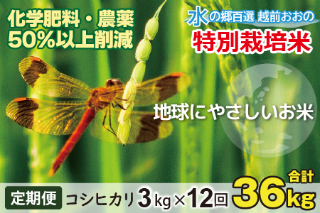 【令和5年産】【12ヶ月定期便】こしひかり 3kg × 12回 計 36kg【白米】減農薬・減化学肥料「特別栽培米」－地球にやさしいお米－[E-003001]