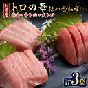 【ふるさと納税】対馬産 本マグロ 詰め合わせ 《 対馬市 》【 桐谷商店 】 対馬 新鮮 マグロ 大トロ 鮪 刺身 鮮度抜群 [WAQ003] 16000 16000円