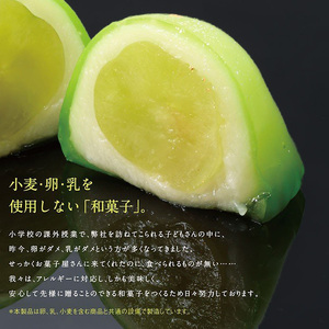 SPオパールのぶどう　シャインマスカット　1箱6個入【1_5-029】