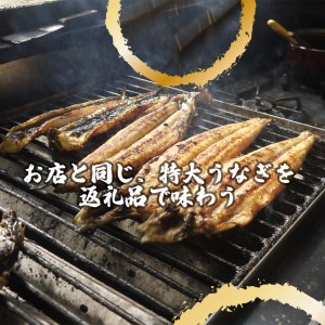 AK002_【冷蔵発送】朝開き国産うなぎ当日発送２尾（1尾あたり約200～230ｇ） 塩焼き 国産鰻 ウナギ 土用丑の日