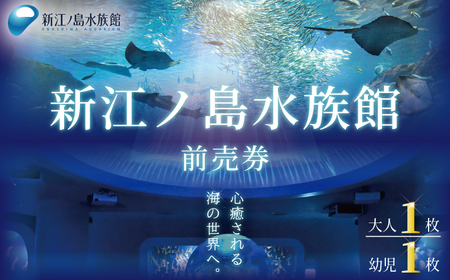 新江ノ島水族館 前売入場券 大人・幼児各1枚 / 水族館 チケット 観光