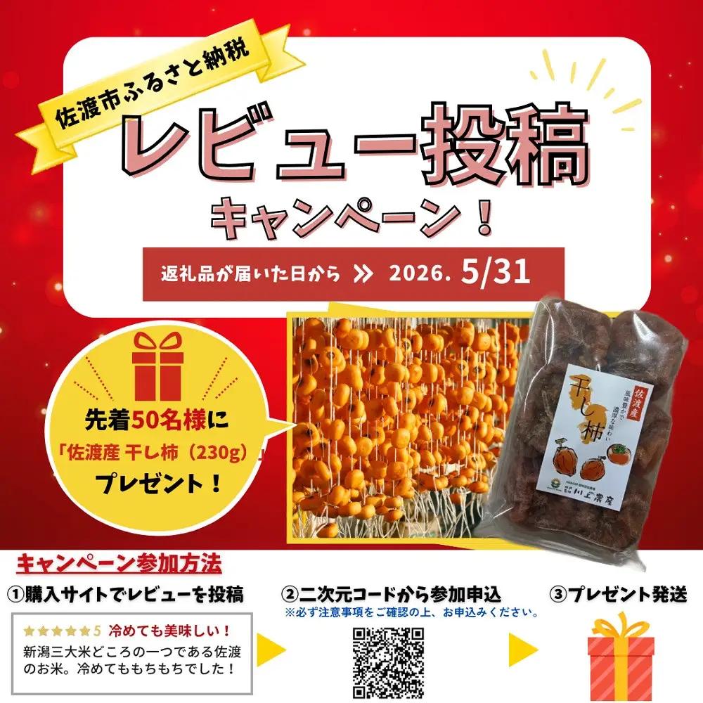 レビューキャンペーン実施中 令和7年産 佐渡 川上農産のコシヒカリ 5kg コシヒカリ