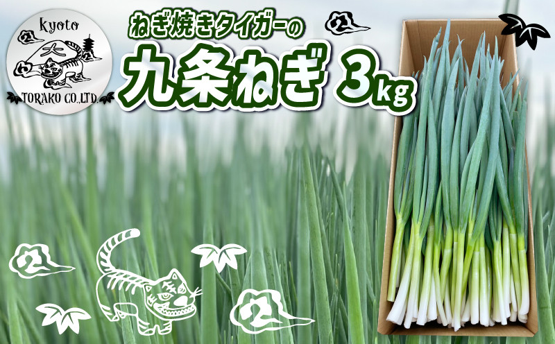 
            ねぎ焼きタイガーの九条ねぎ 3kg ねぎ ネギ 葱 九条ねぎ 九条ネギ 九条葱 野菜 京野菜 農家直送 新鮮 甘さ 甘い 人気 おすすめ ねぎ焼きタイガー 京都 八幡 とらこ
          