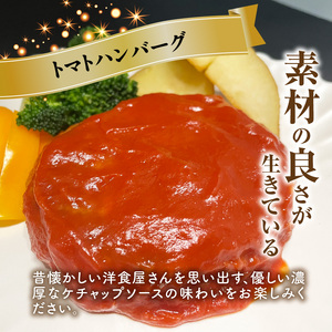 ハンバーグ食べ比べ4種20個セット（デミグラス・トマト・カレー・カルボナーラ） KP9506