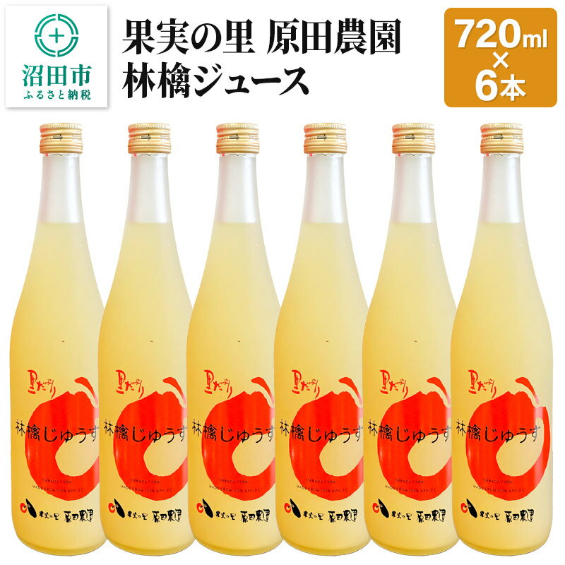 【ふるさと納税】果実の里 原田農園 林檎ジュース 720ml×6本 りんごジュース ストレート100％果汁 [林檎 りんご リンゴ]
