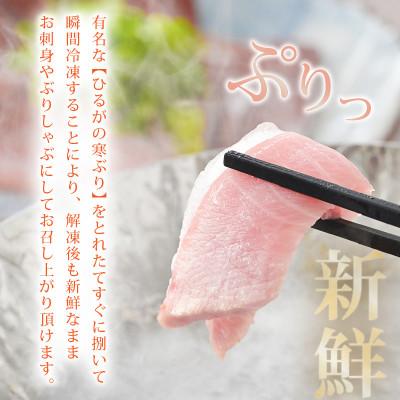 ふるさと納税 美浜町 天然!地物!ひるがの寒ぶり 柵3本【合計800g以上】 |  | 02