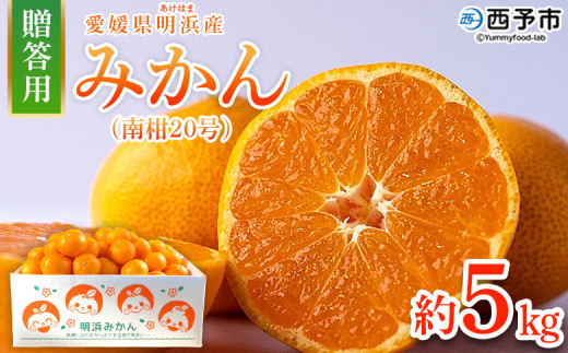 ＜みかん（南柑20号）贈答用 約5kg＞ 果物 くだもの フルーツ ミカン 柑橘 なんかん20ごう ナンカン20ゴウ 温州みかん うんしゅうみかん 贈答 ギフト プレゼント 特産品 株式会社笑丸 愛媛県 西予市【常温】