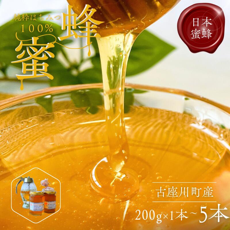 【ふるさと納税】 純粋はちみつ 日本ミツバチの蜂蜜 ＜2025年9月初旬より順次発送＞ / はちみつ 蜂蜜 日本蜜蜂 純粋蜂蜜 濃厚 古座川町 健康 朝食 パン ヨーグルト 濃い 甘い