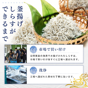日間賀島 釜揚げしらす 1kg 【しらすしらす】