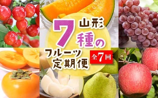 【2026年度 先行予約】7種のフルーツ定期便 全7回 さくらんぼ メロン ぶどう 梨 柿 りんご 果物 フルーツ FSY-2604