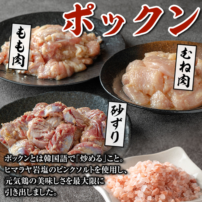 i1038 元気鶏のポックン詰め合わせ〈ガーリックソルト〉(合計600g・100g×各2P)【慶尚園】