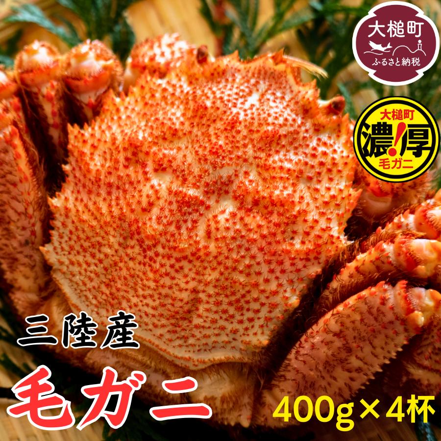 【令和8年発送】【期間限定2026年3月～4月発送】三陸産 三陸活毛ガニ 400g×4杯【配送日指定不可】【05】