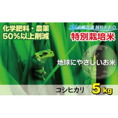 ふるさと納税 大野市 【令和7年産】こしひかり(福井県大野市産)福井県特別栽培米 5kg【白米】