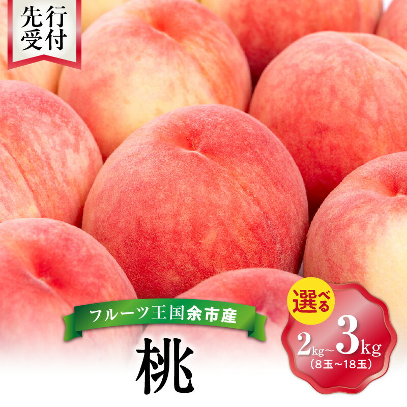 【ふるさと納税】【先行予約：2025年8月下旬以降発送】フルーツ王国余市産「桃」 2kg ・ 3kg【ニトリ観光果樹園】【内容量をお選びください】果物 ジャム ヨーグルト ケーキ 北海道 余市町 お取り寄せ 送料無料