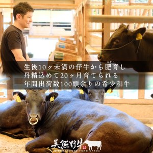 【美熊野牛】　100％ハンバーグ