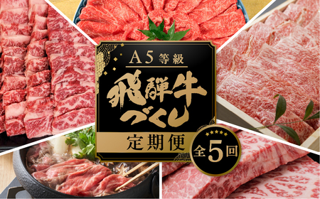 【定期便】A5 飛騨牛 5回 定期便 計 2.9kg 5ヶ月 食べ比べ A5等級 5等級 a5 牛肉 肉 和牛 国産牛 黒毛和牛 焼肉 すき焼き しゃぶしゃぶ ステーキ 赤身 霜降り お楽しみ トキノ屋食品 本巣市  牛肉 定期便  定期便 