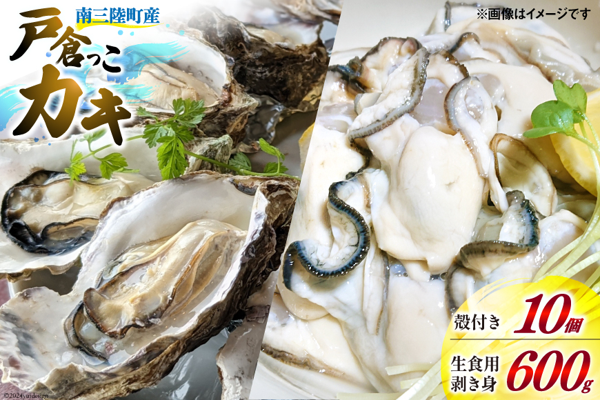 
                  【期間限定発送】牡蠣 生食 南三陸町産 戸倉っこカキ 300g×2本 計600g 殻付き牡蠣 10個 [宮城県漁業協同組合志津川支所 宮城県 南三陸町 30an0003] 生カキ 生食用 剥き身 かき カキ 生ガキ むき身 むき 殻付
                