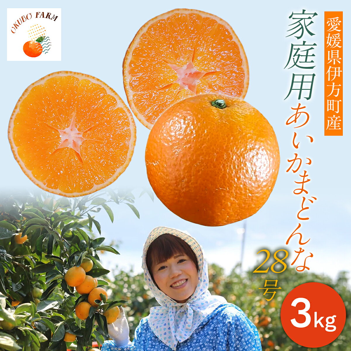 【ふるさと納税】【先行予約】家庭用 あいかまどんな28号3kg 2026年12月上旬から順次発送予定【ふるさと納税 人気 おすすめ ランキング 柑橘 みかん ミカン フルーツ まどんな あいかまどんな アイカまどんな マドンナ 果物 OKUBO FARM 愛媛県 伊方町 送料無料】IKTAT016