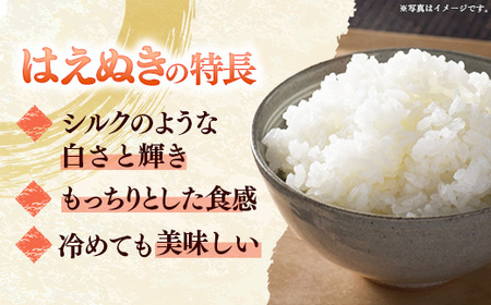 飯豊町産 はえぬき 玄米 30kg 令和7年産 おこめ ごはん  銘柄 ブランド米 山形県 飯豊町