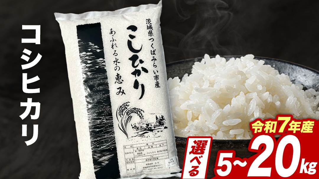 ＼ 2026年2月出荷 ／ コシヒカリ 5kg / 10kg / 15kg / 20kg 令和7年産精米【 数量限定 】茨城県つくばみらい市産 米 コメ 単一米 11000 22000 33000 44000 茨城県産 国産 即納 スピード配送 すぐ届く 発送 早い 即発送 コスパ こしひかり 即日発送