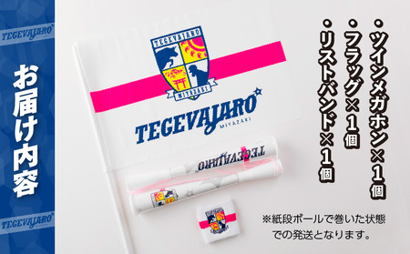テゲバジャーロ宮崎　応援グッズ3点セット テゲバ 応援 グッズ