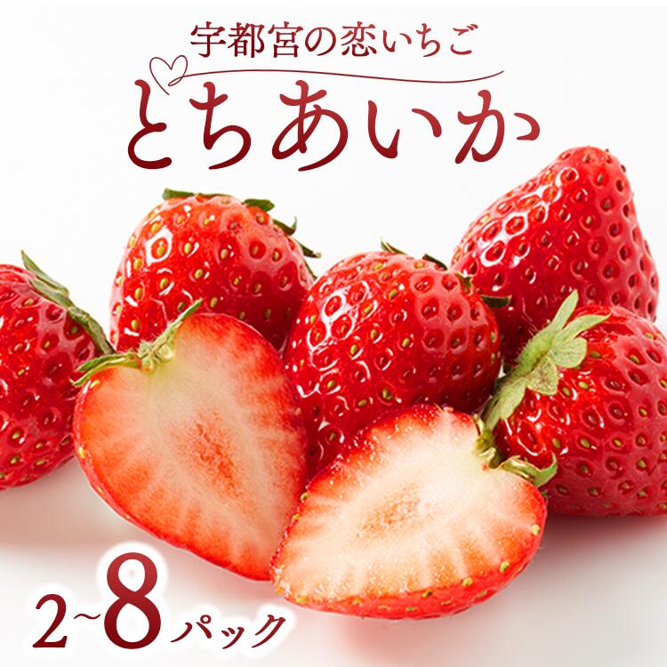【ふるさと納税】【選べる内容量】宇都宮の恋いちご「とちあいか」 ―甘くて可愛い、愛されいちご― 2パック/4パック/6パック/8パック | 苺 イチゴ 果物 フルーツ 栃木県 宇都宮市 ※2025年12月中旬～2026年3月下旬頃に順次発送予定