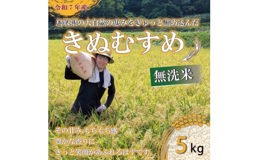 ＜令和7年産＞原田農園の「きぬむすめ」(無洗米・5kg) 【鳥取県 境港市】