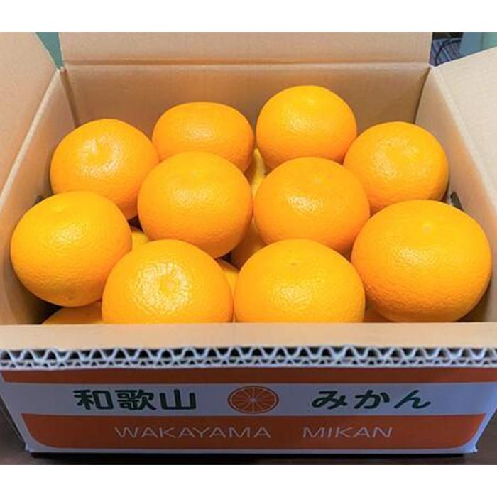 【ふるさと納税】印南町産の『木成り』はっさく20個前後（L～3Lサイズ） | はっさく 八朔 木成り 柑橘 かんきつ 和歌山 印南町 柑橘 果物 フルーツ くだもの ふるさと納税 返礼品