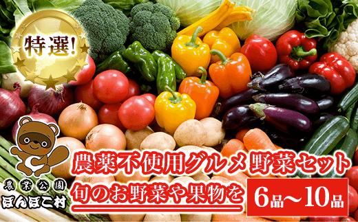 特選！農薬不使用グルメ野菜セット【旬のお野菜や果物を６品〜10品】＜農業公園ぽんぽこ村＞ ふるさと納税 野菜 野菜セット 新鮮 農薬不使用 オーガニック お鍋 サラダ 千葉県 木更津 送料無料 KAT001