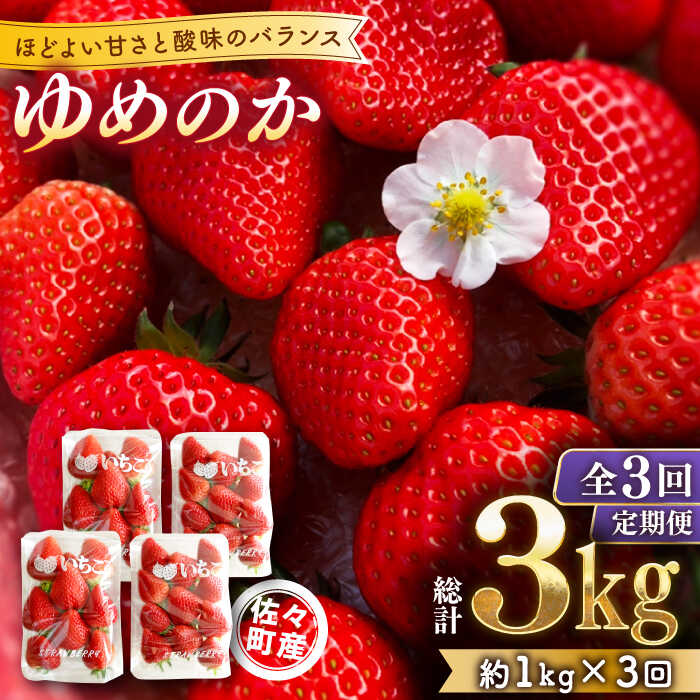 【ふるさと納税】【先行予約・全3回定期便】佐々町産 いちご 「ゆめのか」約1.0kg (250g×4パック)/回 （総量計3.0kg）【市丸農園 いちご研究室】 [QBF003] イチゴ 甘い フルーツ 果物 苺 パフェ ケーキ 長崎県産