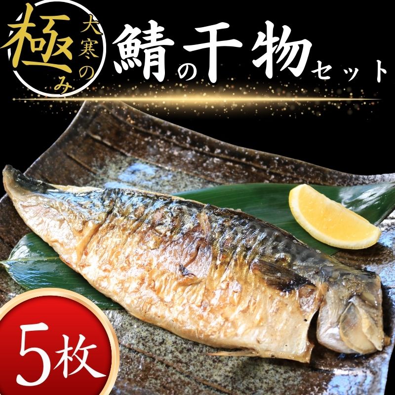 【ふるさと納税】 大寒の極み サバ干物 5枚 1枚約200g 特大サイズ 鯖 さば サバ ノルウェー産 パウチ 冷凍 真空パック 個包装 魚 海鮮 魚介類 シーフード 干物 ひもの 高級 お取り寄せ お試し 長期保存 贈答 贈物 贈り物 ギフト プレゼント 送料無料 千葉県 銚子市 武内商店