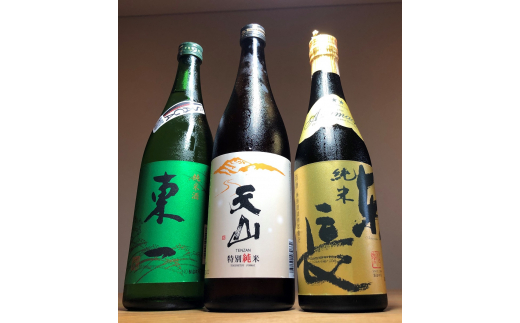 The SAGA認定酒 特別純米純天山 東一純米酒 純米東長 計3本 039-D350