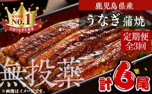 ＜定期便・全3回＞鹿児島県産うなぎ蒲焼 (1尾あたり136g～155g×2尾×3回、タレ・山椒付き) 鰻 ウナギ 国産【西日本養鰻】T46
